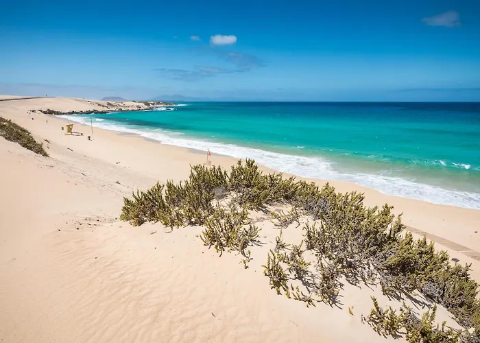 Home2book Private Pool & Terrace, Aloha Sun 别墅 *